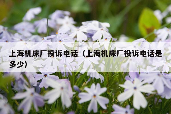 上海机床厂投诉电话（上海机床厂投诉电话是多少）