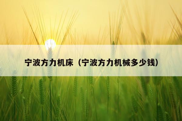 宁波方力机床（宁波方力机械多少钱）