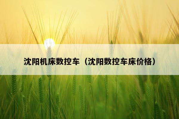 沈阳机床数控车（沈阳数控车床价格）
