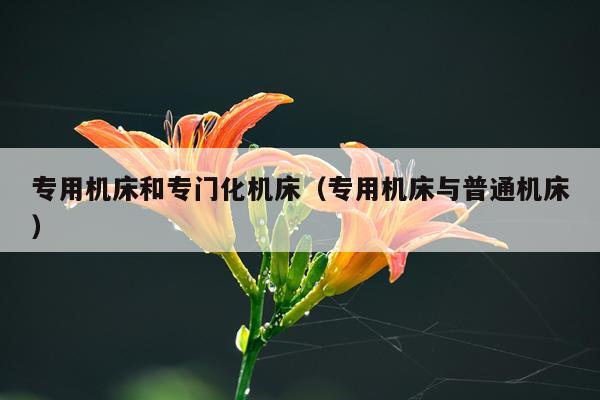 专用机床和专门化机床（专用机床与普通机床）