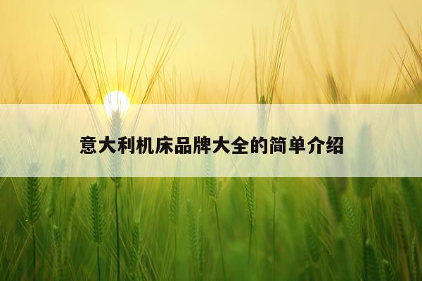 意大利机床品牌大全的简单介绍