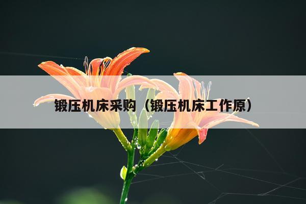 锻压机床采购（锻压机床工作原）