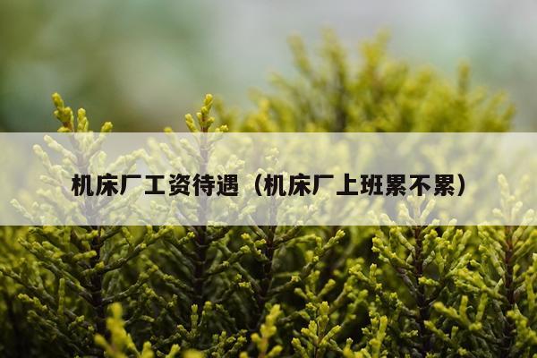 机床厂工资待遇（机床厂上班累不累）