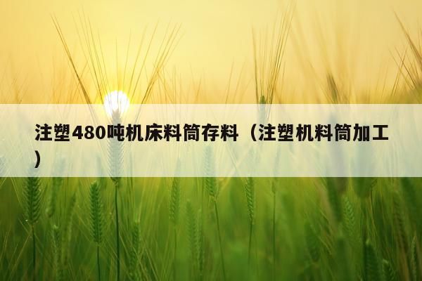 注塑480吨机床料筒存料（注塑机料筒加工）