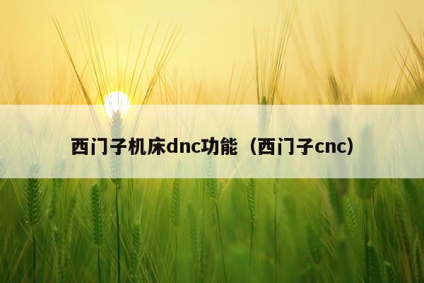 西门子机床dnc功能（西门子cnc）