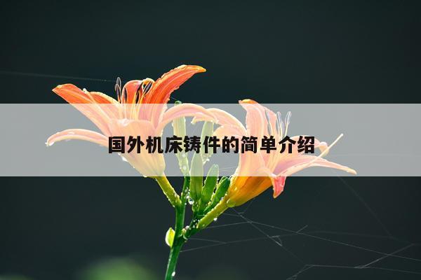 国外机床铸件的简单介绍