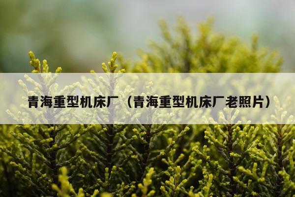 青海重型机床厂（青海重型机床厂老照片）