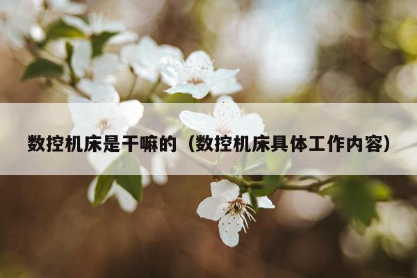 数控机床是干嘛的（数控机床具体工作内容）