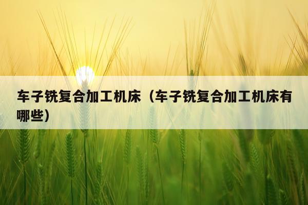 车子铣复合加工机床(车子铣复合加工机床有哪些)