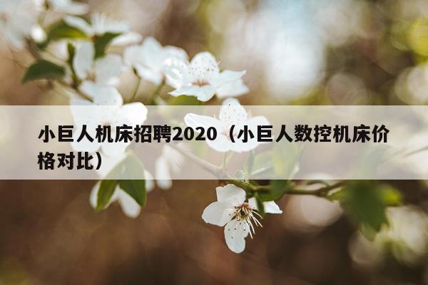 小巨人机床招聘2020（小巨人数控机床价格对比）