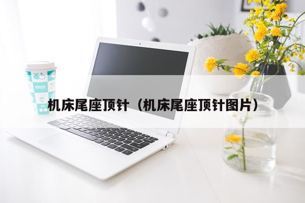 机床尾座顶针（机床尾座顶针图片）