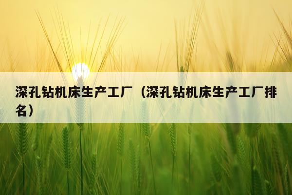 深孔钻机床生产工厂(深孔钻机床生产工厂排名)