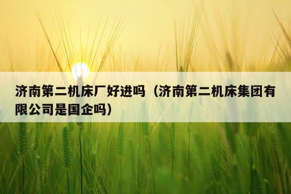 济南第二机床厂好进吗（济南第二机床集团有限公司是国企吗）