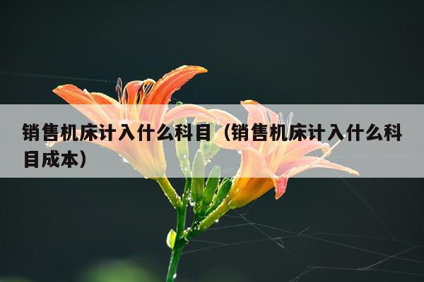 销售机床计入什么科目(销售机床计入什么科目成本)