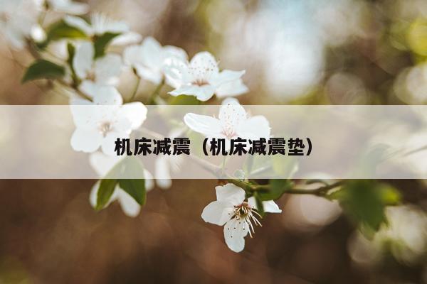 机床减震(机床减震垫)