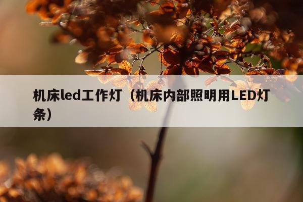 机床led工作灯（机床内部照明用LED灯条）