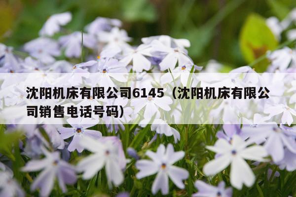 沈阳机床有限公司6145（沈阳机床有限公司销售电话号码）