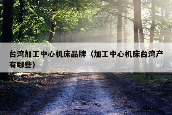 台湾加工中心机床品牌（加工中心机床台湾产有哪些）