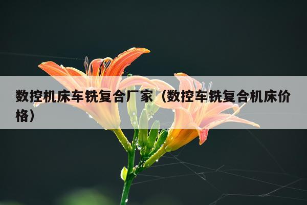 数控机床车铣复合厂家（数控车铣复合机床价格）