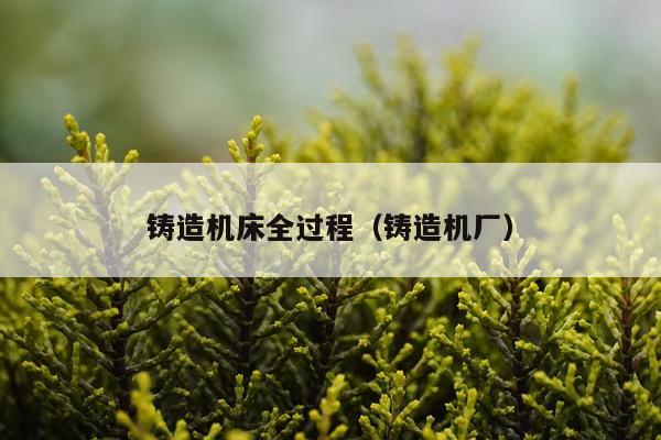 铸造机床全过程（铸造机厂）