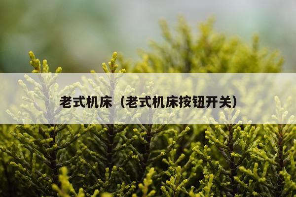 老式机床（老式机床按钮开关）