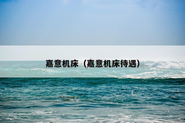 嘉意机床（嘉意机床待遇）