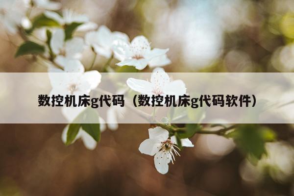 数控机床g代码（数控机床g代码软件）