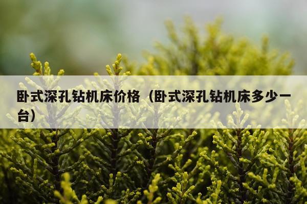 卧式深孔钻机床价格（卧式深孔钻机床多少一台）