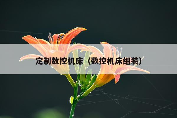 定制数控机床(数控机床组装)