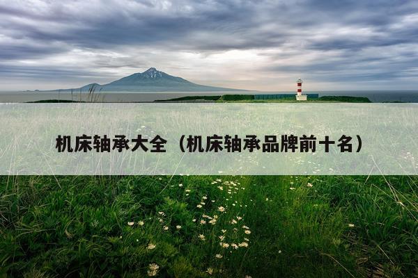 机床轴承大全（机床轴承品牌前十名）