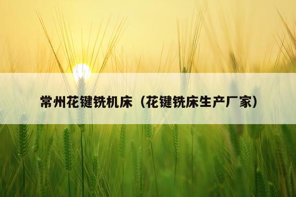 常州花键铣机床（花键铣床生产厂家）