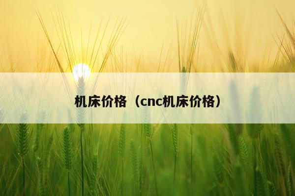 机床价格(cnc机床价格)