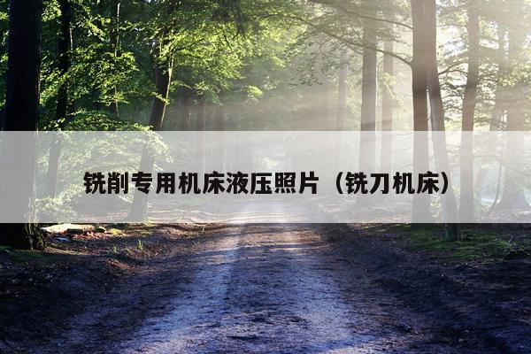 铣削专用机床液压照片（铣刀机床）