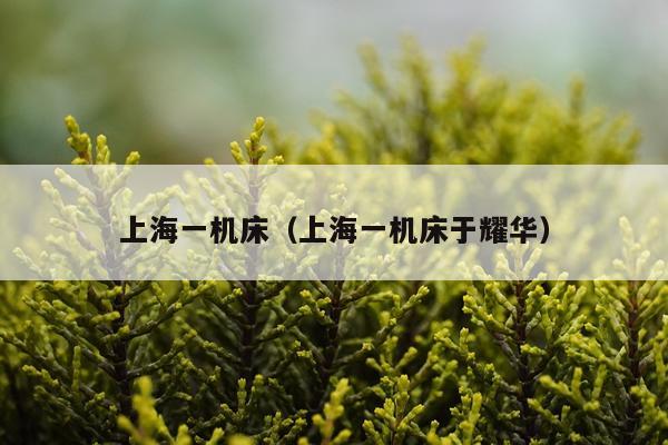 上海一机床（上海一机床于耀华）