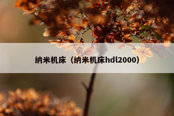 纳米机床（纳米机床hdl2000）