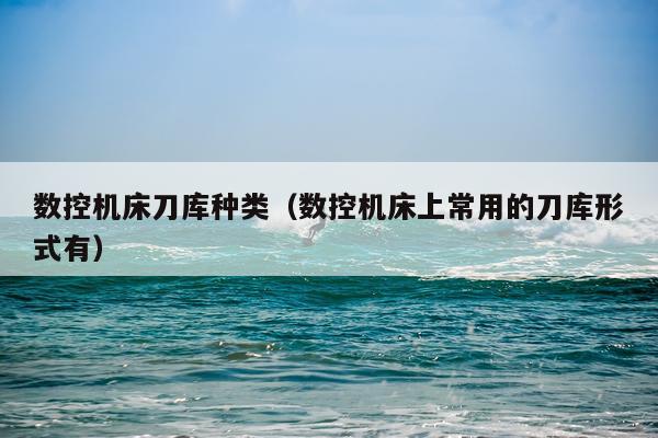 数控机床刀库种类（数控机床上常用的刀库形式有）