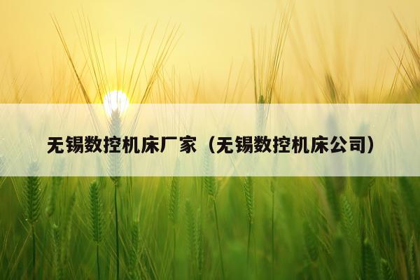 无锡数控机床厂家（无锡数控机床公司）