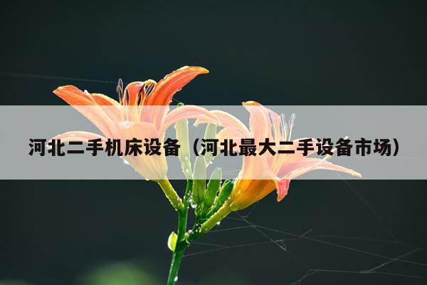 河北二手机床设备（河北最大二手设备市场）
