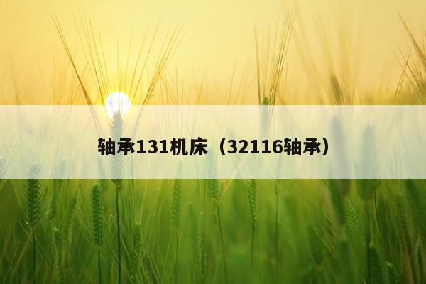 轴承131机床（32116轴承）