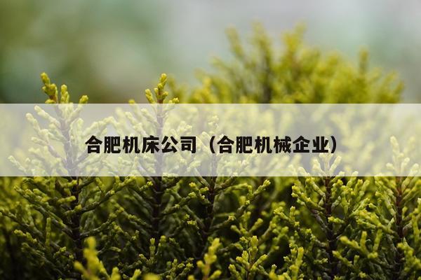 合肥机床公司（合肥机械企业）