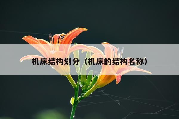 机床结构划分（机床的结构名称）