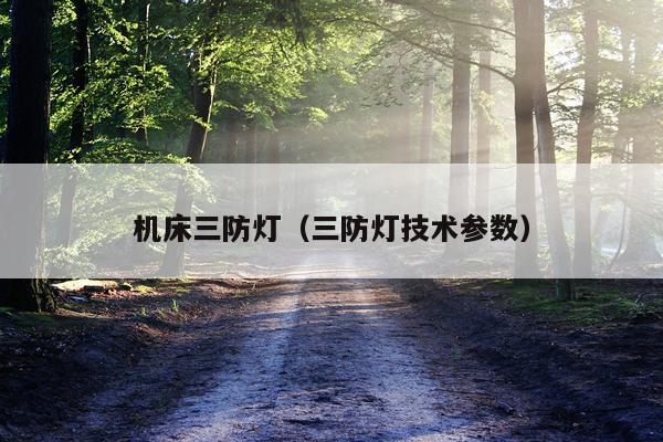 机床三防灯（三防灯技术参数）