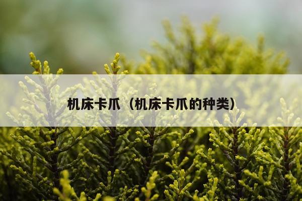 机床卡爪（机床卡爪的种类）