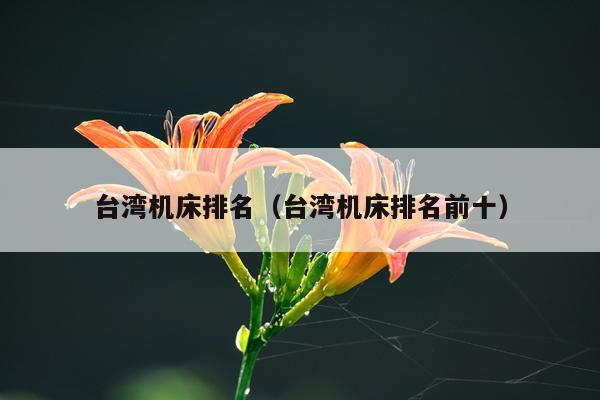 台湾机床排名（台湾机床排名前十）