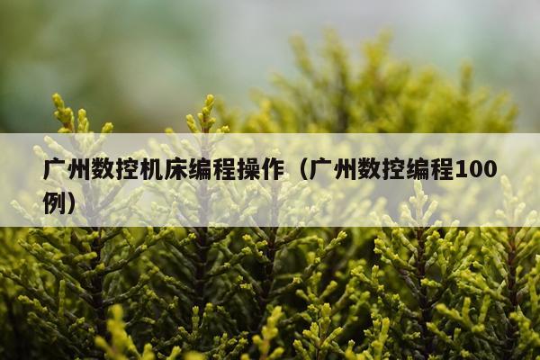 广州数控机床编程操作（广州数控编程100例）