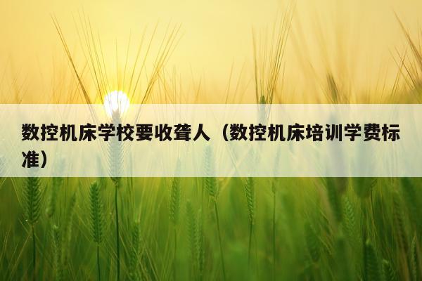 数控机床学校要收聋人（数控机床培训学费标准）