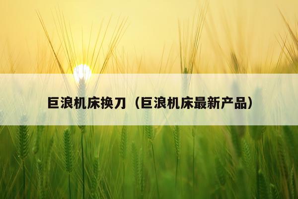 巨浪机床换刀（巨浪机床最新产品）