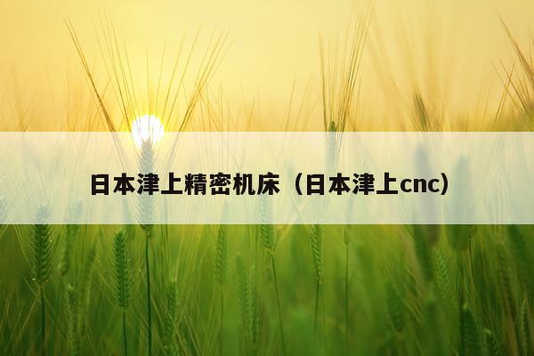 日本津上精密机床（日本津上cnc）