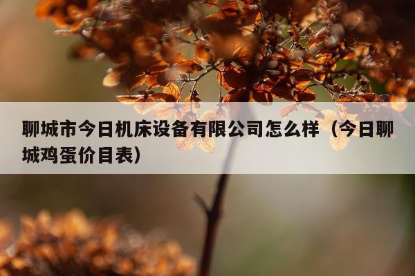 聊城市今日机床设备有限公司怎么样（今日聊城鸡蛋价目表）