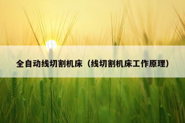全自动线切割机床（线切割机床工作原理）